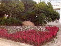 -艾溪湖湿地公园