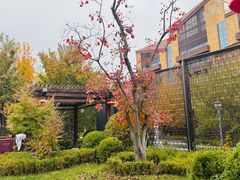 -白桦林温泉谷