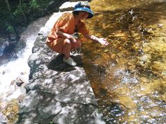 -青峰峡国家森林公园