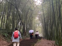 -西湖风景区十里琅珰-五云山