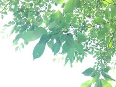 -九里河湿地公园