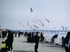 -星海广场
