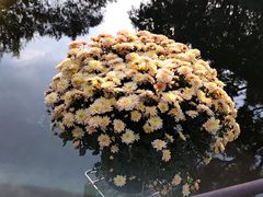 -汇龙潭