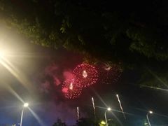 -光明港公园