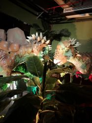 -恐龙探索乐园(磁器口店)