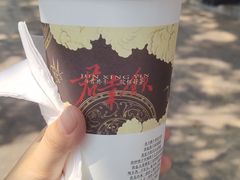 -茶颜悦色(岳麓山顶店)