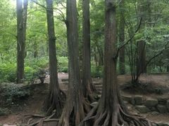-鲜屋惟曼酒店(西湖宋城九溪店)