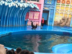 -华夏文旅海洋公园