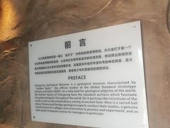 -金钉子远古世界景区