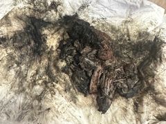 -御面斋精品面馆