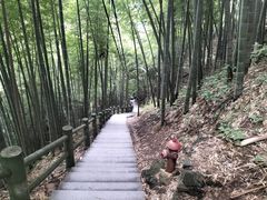 -藏龙百瀑风景区