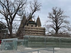 -北京石刻艺术博物馆(五塔寺)