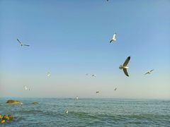 -海合安青岛极地海洋公园