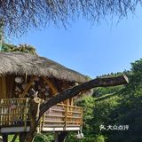 南山上的丛林秘境