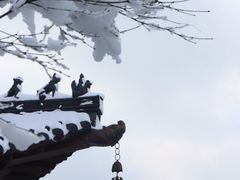 -杭州半山国家森林公园