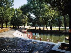 -紫海香堤香草艺术庄园