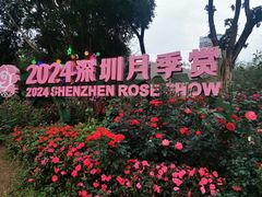 -人民公园(罗湖区)