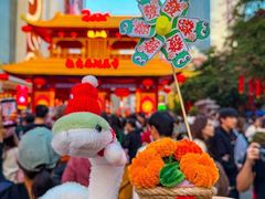 -越秀西湖花市(广州城市广场花卉店)