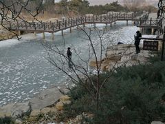 -鬼笑石后山停车场