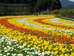 -中国香山·寿香谷