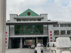 -打洛口岸