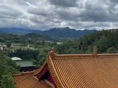 -中原大佛景区