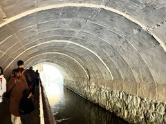 -白水寺森林公园