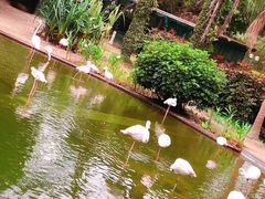 -九龙公园