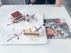 -喵的天空名猫咖啡馆·撸猫·猫舍·用品