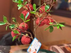 妃子笑-长安大牌档之西安博物院文化餐厅(中贸店)