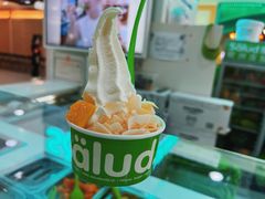 -Salud撒露欧洲冻酸奶(五道口购物中心店)