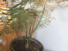 -静一餐厅·湖北菜(前门店)
