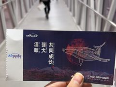 -温州龙湾国际机场