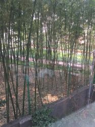 -馨月汇·一悦馨香月子中心(前滩店)
