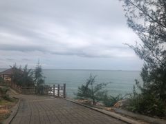 -广东惠东海龟国家级自然保护区