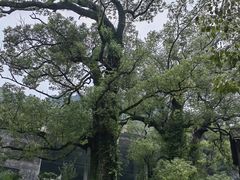 -上坦村