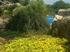 -北京西山国家森林公园