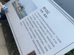 -成飞公园