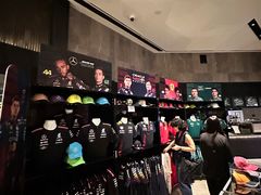 -新加坡瑞士史丹福酒店