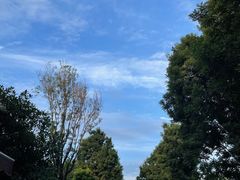 -上王村王家三合院农家乐