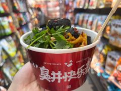 -黑色经典臭豆腐·湖南特产(潇湘文化店)