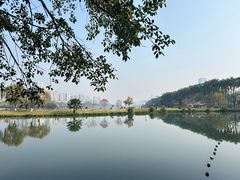 -南宁南湖公园