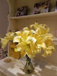 -北京俪婴妇产医院(朝阳大悦城店)