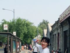 -北京国子监胡同