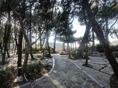 -嘉定紫藤园