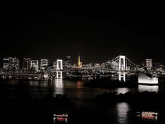 -台场海滨公园船码头