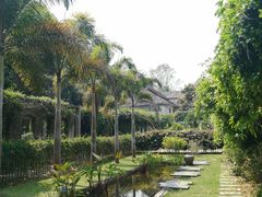 -中国科学院西双版纳热带植物园