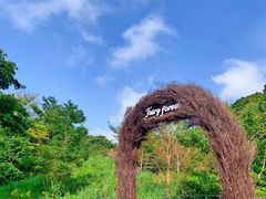-济州森林小火车生态公园