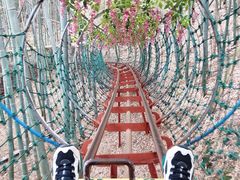 -宁波浙东大竹海景区