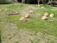-宁波野生动物园